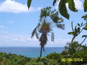 VUE MER DEPUIS LE GITE - LOCATION  POUR TOURISTES
